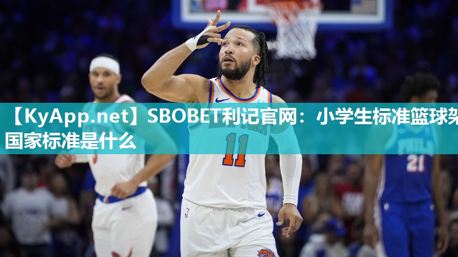 小学生标准篮球架国家标准是什么 小学生标准篮球架国家标准是什么