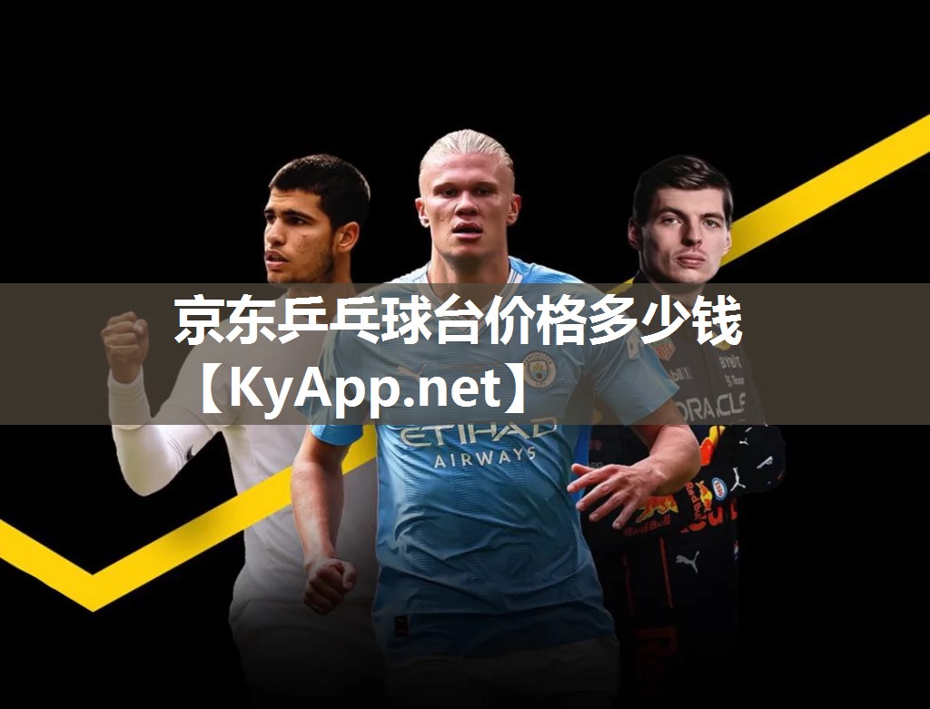 京东乒乓球台价格多少钱 京东乒乓球台价格多少钱