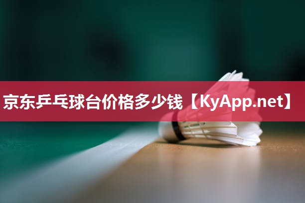 京东乒乓球台价格多少钱 京东乒乓球台价格多少钱