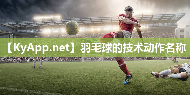羽毛球的技术动作名称 羽毛球的技术动作名称