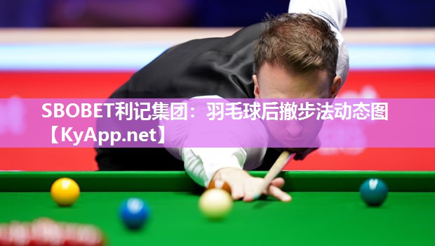 羽毛球后撤步法动态图 羽毛球后撤步法动态图